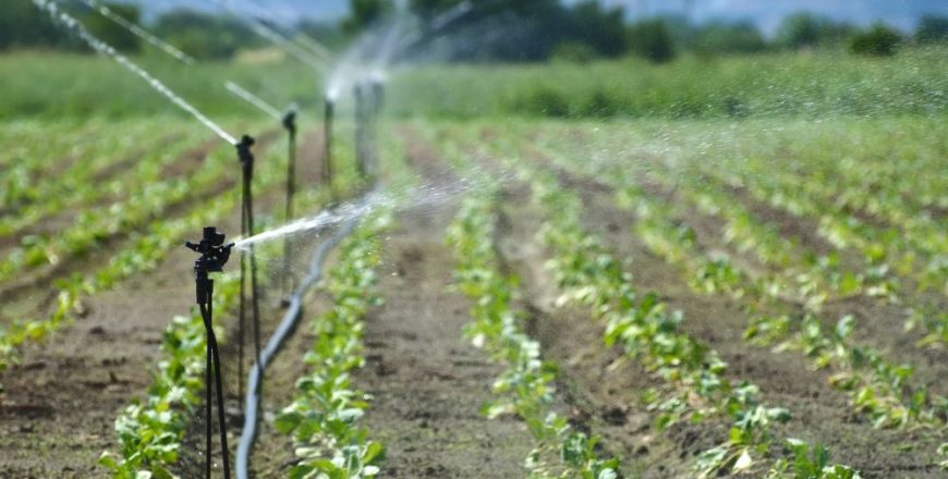 Sustainable Water Management Agriculture: Embracing Innovation for Future Generations